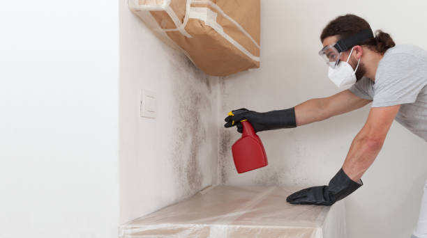 Professional Bathroom Mold Removal technician working in Terre Hill, PA
